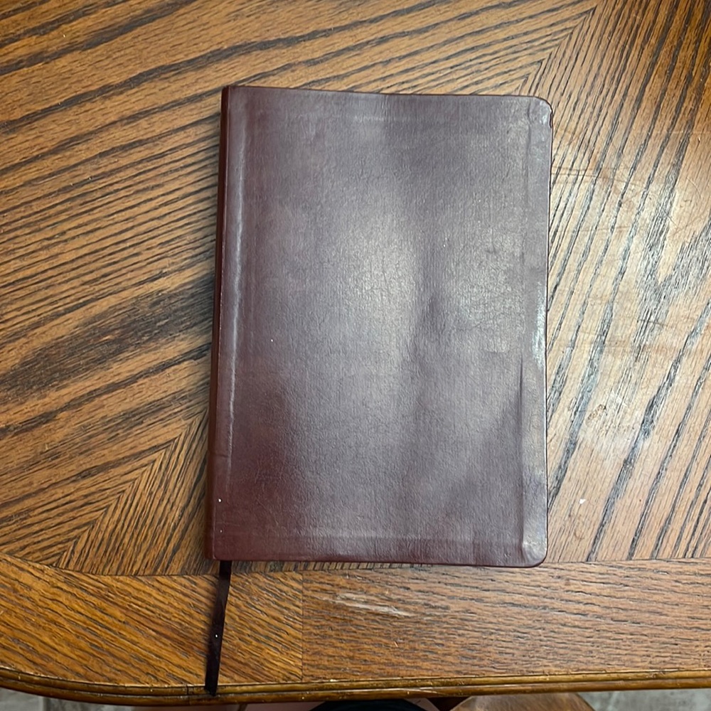 NRSV C.S. Lewis Bible